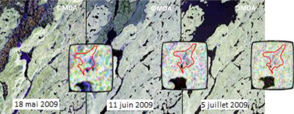 Figure 11 : Image polarimétrique RADARSAT-2 de la zone d'étude incluant la tourbière  Abeille (Décomposition de Pauli) ©MDA, 2009