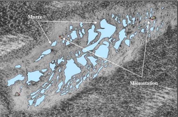 Figure 17 : Photographie aérienne où les marres de la tourbière Chenille sont mises en évidence  ainsi que les trois micro-stations