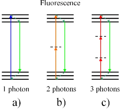 Figure 2.3  Diagrammes  de  Jablonski  des  processus  d’émission  de  la  fluorescence  par  absorption  (a)  d’un  photon, (b) de deux photons et (c) de trois photons