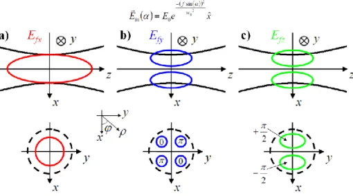 Figure 3.9  Distribution  spatiale  de  l’amplitude  des composantes (a)  x, en rouge, (b)  y, en bleu, et  (c) z, en  vert,  du  champ  électrique  à  proximité  du  point  focal
