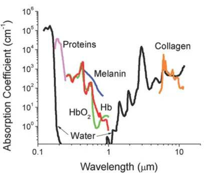 Figure 1.3 Absorbance of various tissue and blood components from 200 nm to 10 μm. (Obtained from  reference [13])