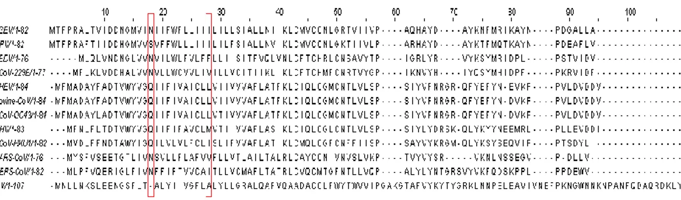 Figure 3.3   Sequence  alignment of coronavirus E proteins with amino acids implicated in ion  channel  activity  highlighted  in  red