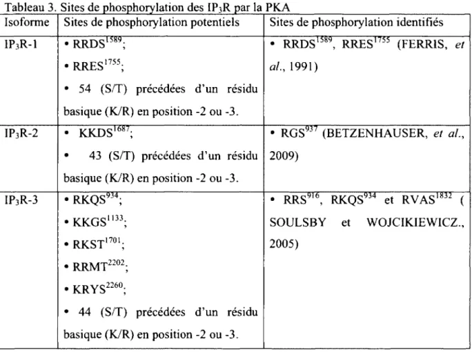 Tableau 3. Sites de phosphorylation des IP3R par la PKA  Isoforme 