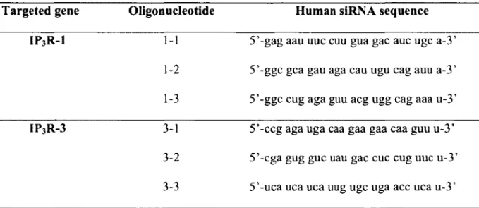 Table  1. Human siRNA sequences targeting IP3RS  Targeted gene  IP3R-I  IP3R-3  Oligonucleotide 1-1 1-2 1-3 3-1  3-2  3-3 