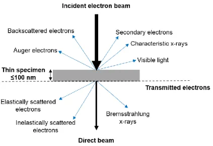 Figure 3.4  Possible signals emitted  due  to interaction of  the incident electron  beam with  the  thin  specimen  under analysis in TEM