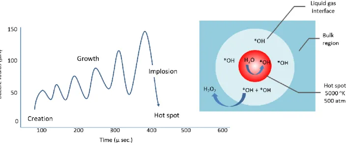 Fig. 2-1  Formation, growth, implosion and various reaction sites in a cavitation bubble