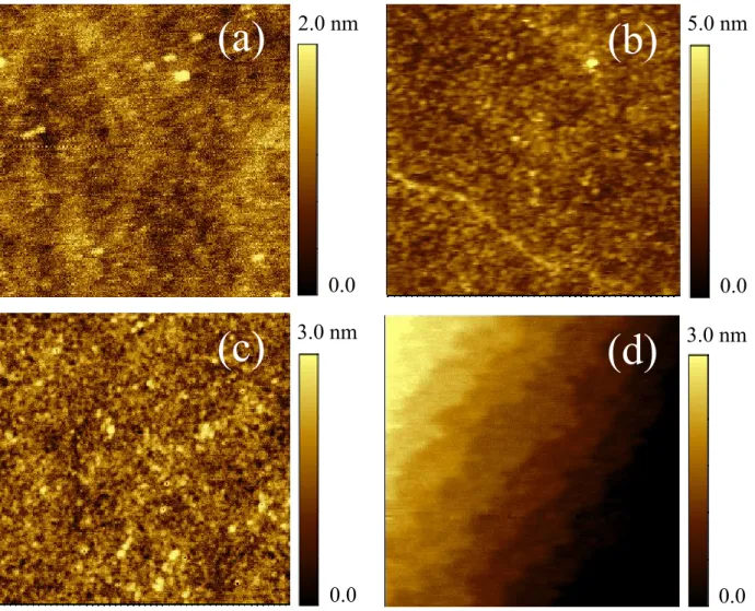 Figure 3.6 and Figure 3.7 show the surface morphology of pure SrTiO 3  (110) substrates  which had undergone a microwave assisted hydrothermal etching in water as well as in ammonia  solution and O 2  annealing at various temperature and time