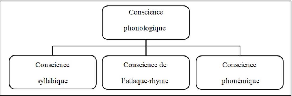 Figure 12 – Les différentes composantes de la conscience phonologique  Inspiré de Laplante et Bédard, 2015, p.13