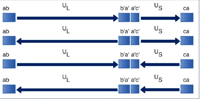 Figure 7 : Isomères génomiques générés lors de la réplication de l’ADN du VHS-1. La présence de  séquences  répétées  inversées  aux  extrémités  des  régions  uniques  permet  l‟inversion  de  ces  dernières  par  un  mécanisme  de  recombinaison  homolog