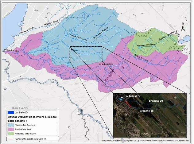 Figure 4 : Emplacement du bassin versant du lac Baie d'Or dans le bassin hydrologique la rivière à la Scie  (modifié de CBE, 2010)  