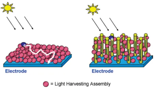 Figure 2.1. Comparison of charge transport pathways in QDs and QD/1D nanostructure hybrids [8]
