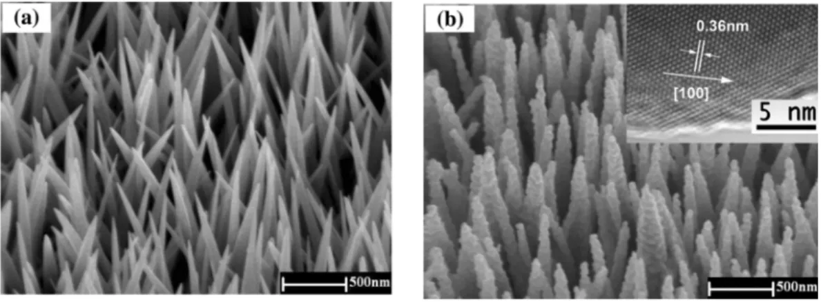 Figure 2.8.    SEM images of (a) ZnO nanoneedle arrays and (b) CdSe QDs decorated ZnO nanoneedle arrays  via electrochemical technique [134]