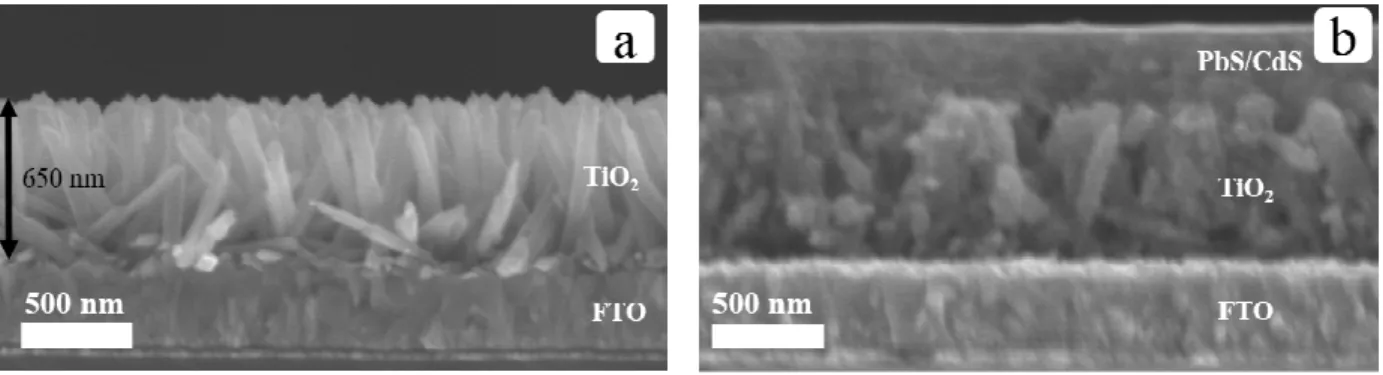 Figure  2.9.    Cross  sectional  SEM  images  showing  TiO 2   nanorod  arrays  (a)  and  PbS/CdS  core-shell  QDs  deposited onto the nanorod arrays via layer-by-layer spin coating technique  in the fabrication  process of DBH solar cells (b) [54]