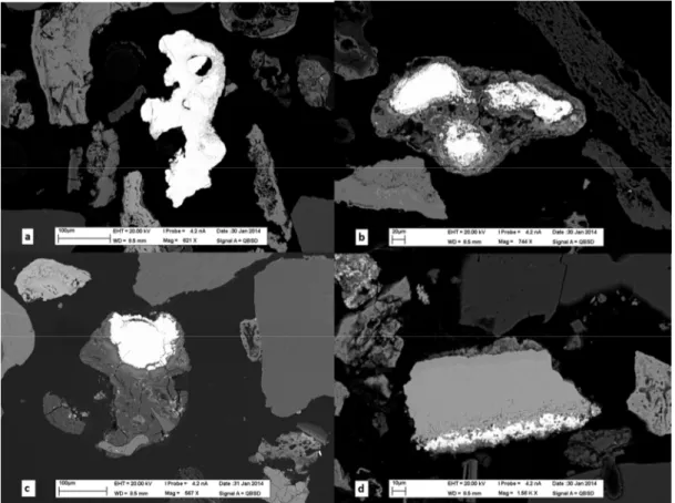 Figure 2.4  Pictures  from  SEM  analysis  showing  (a)  lead oxide  with  liberation  ratio  of  100%,  (b)  lead  oxide  with  liberation  ration  of  65%,  (c)  lead  carbonate  with  liberation  ratio  of  40%, and  (d)  tin  oxide  with  liberation  r