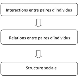 Figure 1.1 : Cadre conceptuel décrivant la structure sociale, adapté de Hinde (1976). Chaque  paire d’individus a un certain nombre d’interactions desquelles émerge la relation qui les unit