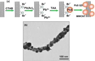 Figure 2.12 (a) Illustration schématique de l’approche utilisée par Yu et al [85] pour croître in situ des NPs de  PbS sur des NTCs multiparois, (b) image TEM du NH formé