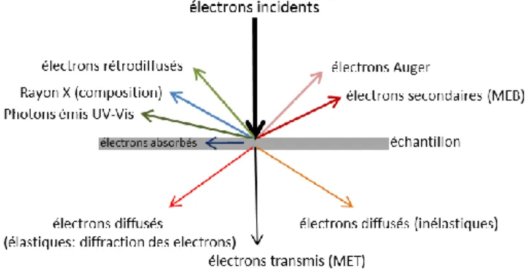 Figure 3.2 Schéma de l’interaction faisceau d’électrons-échantillon dans un microscope électronique.