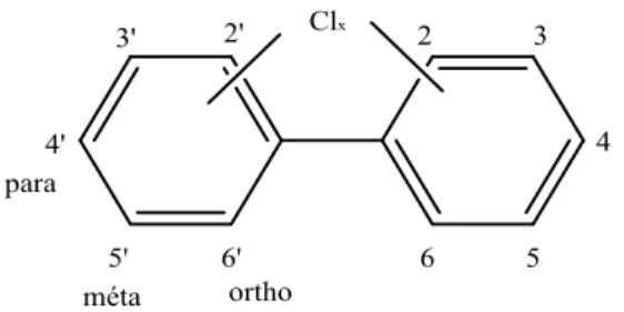 Figure 1.1 : Structure générale d’une molécule de BPC 