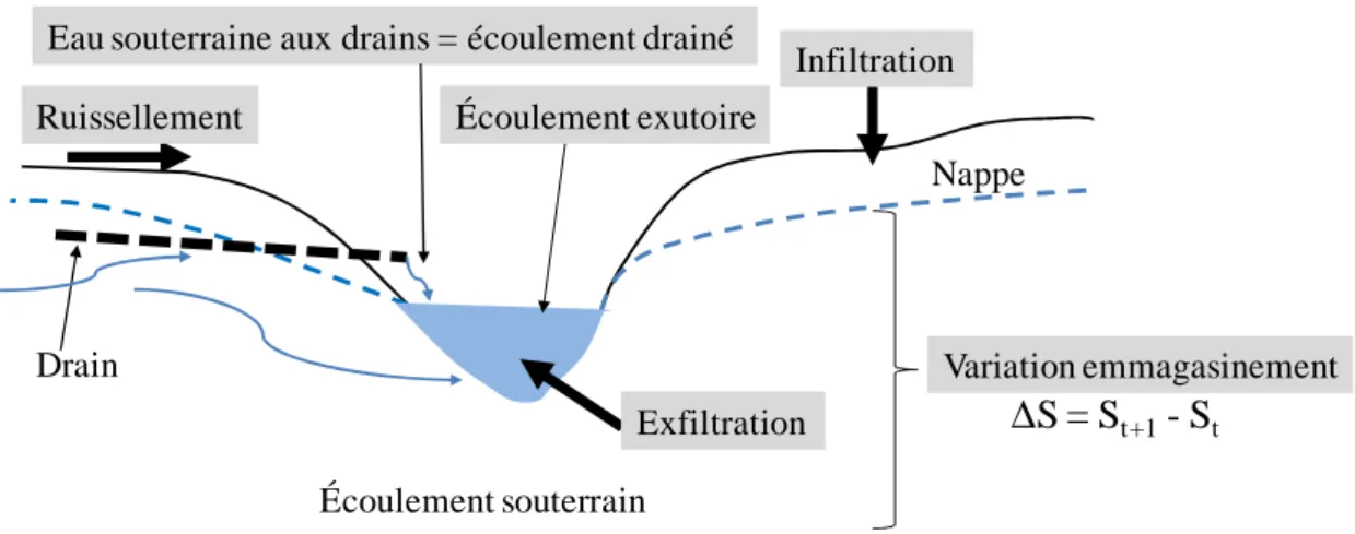 Figure 3.11 : Schématisation de variables ayant été analysées dans cette étude 