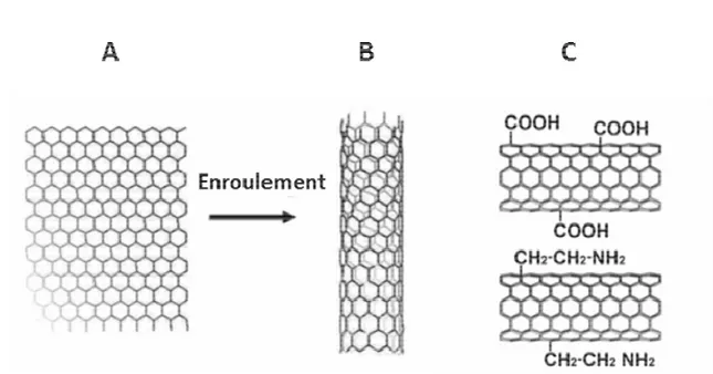 Figure 3. Nanotubes de carbone mono-paroi. 