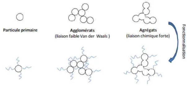 Figure 6. Formation d’agglomérats et d’agrégats de nano-objets (Buffet 2012). 