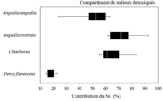 Figure 1.4: Distribution « boîte à moustaches » de la contribution en pourcentage (%) du compartiment de  métaux  détoxiqués  à  la  concentration  totale  du  Ni  chez  Anguilla anguilla  (foie,  n  = 11), Anguilla  rostrata  (foie, n = 28), Chaoborus (la