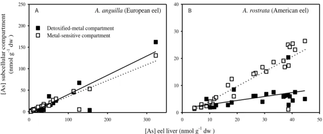Figure 5.2: Relationship between total hepatic As concentrations (horizontal axis) and As concentrations in the  detoxified-metal  compartment  (solid  squares)  and  metal-sensitive  compartment  (open  squares)  in  Anguilla  anguilla (panel  A)  and  An