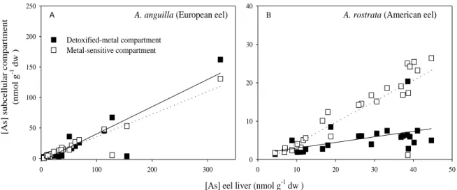 Figure 5.2: Relationship between total hepatic As concentrations (horizontal axis) and As concentrations in the  detoxified-metal  compartment  (solid  squares)  and  metal-sensitive  compartment  (open  squares)  in  Anguilla  anguilla (panel  A)  and  An