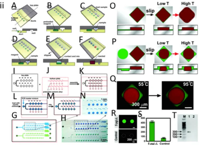 Figure 2.3  Microfluidic NanoPCR Chips. (i) Microfluidic matrix chambers for high-throughput  nano  PCR  chips