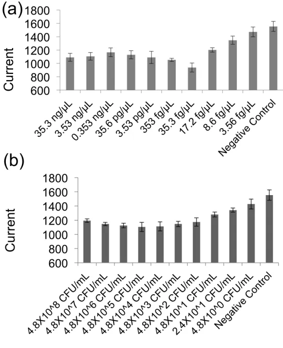 Fig. 3.3   Electrochemical  detection  of  E.coli  in  the  microfluidic  chip  (a)  Maximum  peak  current in LSV for different extracted E.coli DNA concentration