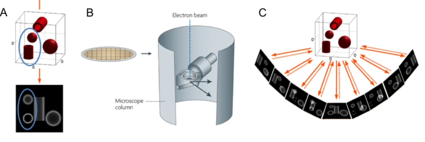 Figure 4. The principle of ET. 