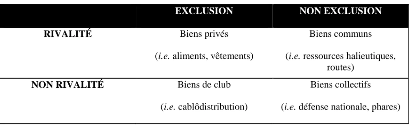 Tableau 2.1 : Classification des divers types de biens 