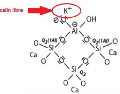 Figure 2.14 : Modèle simplifié de la structure chimique du gel formé lors de l’activation  alcaline du laitier de haut fourneau [9]