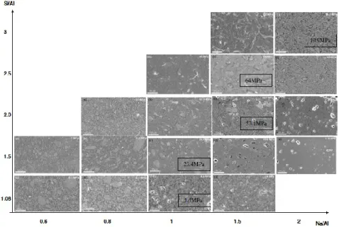 Figure 2.35 : Effet des ratios molaires sur la résistance à la compression (en MPa) [29]