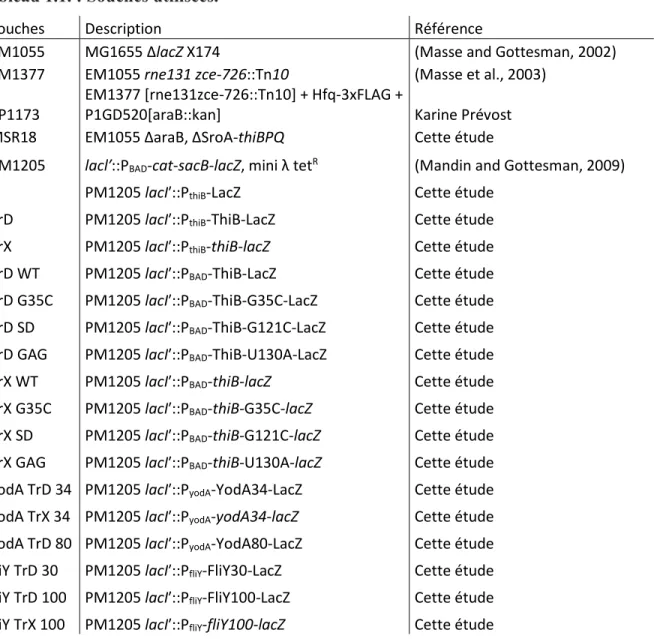 Tableau 1.1. : Souches utilisées. 