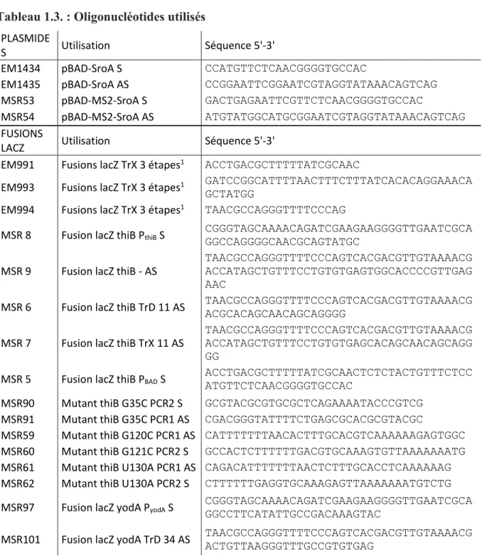 Tableau 1.3. : Oligonucléotides utilisés  PLASMIDE