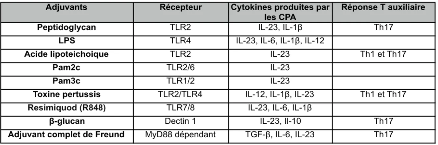 Tableau II : Récepteurs de l’immunité innée et adjuvants impliqués dans la génération des cellules Th17  (modifié de (Lin et al., 2010) 