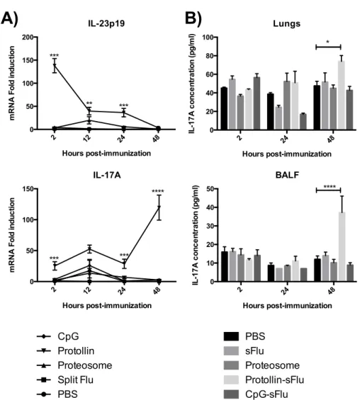 FIGURE  1.    Increased  IL-23p19  expression  and  IL-17A  production  in  lungs  and  BALF  from  Protollin-immunized  mice