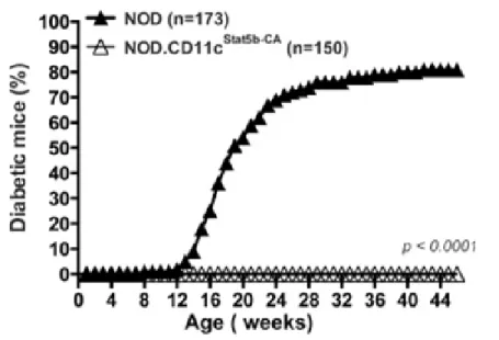 Figure 2. All NODSTAT5B+ are protected from T1D compared  to NOD mice.  