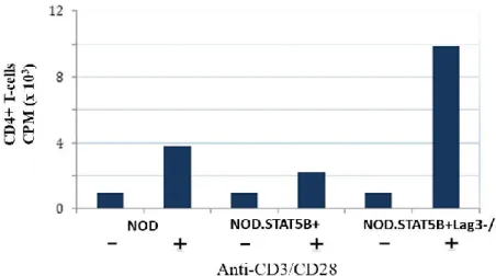 Figure 6. NODSTAT5B+ mice exhibit increased CD8+ T-cell and CD4+ T-cell  proliferation in the absence of LAG-3; (A) CD8+ T-cells and (B) CD4+ T-cells were  purified from splenocytes of NOD, NODSTAT5B+ and NODSTAT5BLAG3-/- mice and  incubated with anti-CD3 