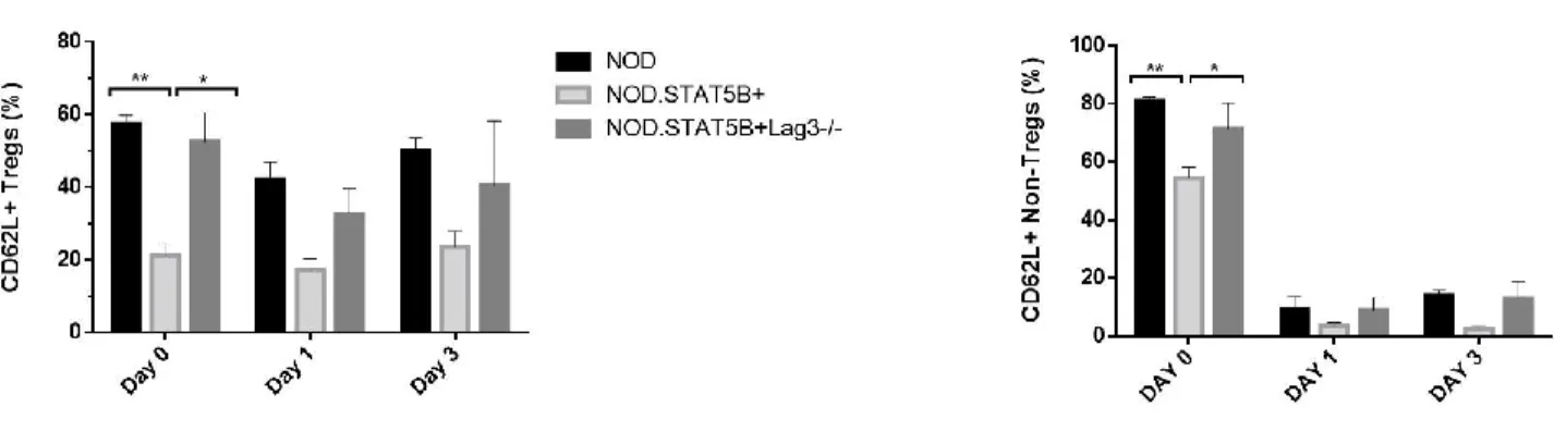 Figure 10. Lowered basal CD62L expression on Tregs and non-Tregs in NODSTAT5B+ 