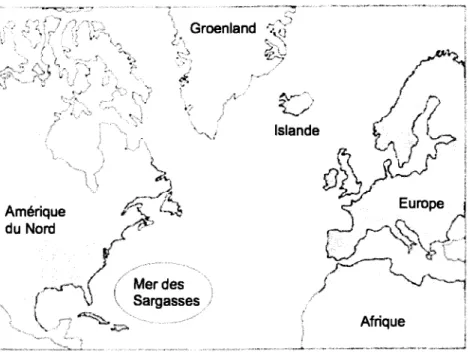 Figure 1.1 :  Aires de répartition  des anguilles d'Amérique  (Amérique du Nord,  Groenland et Islande) et d'Europe  (Europe, Afrique  et Islande)