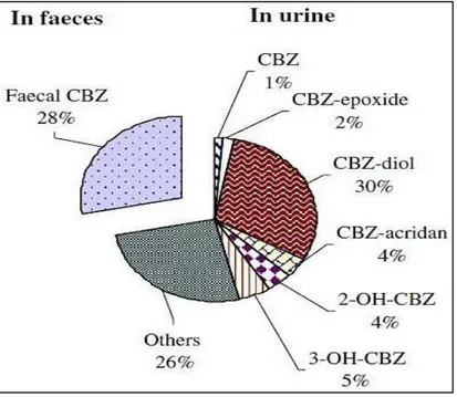 Figure  13  :  Métabolisation  de  la  CBZ  par  le  corps  et  pourcentage  relatif  pour  chacun  des  principaux  métabolites   (Zhang et al., 2008) 