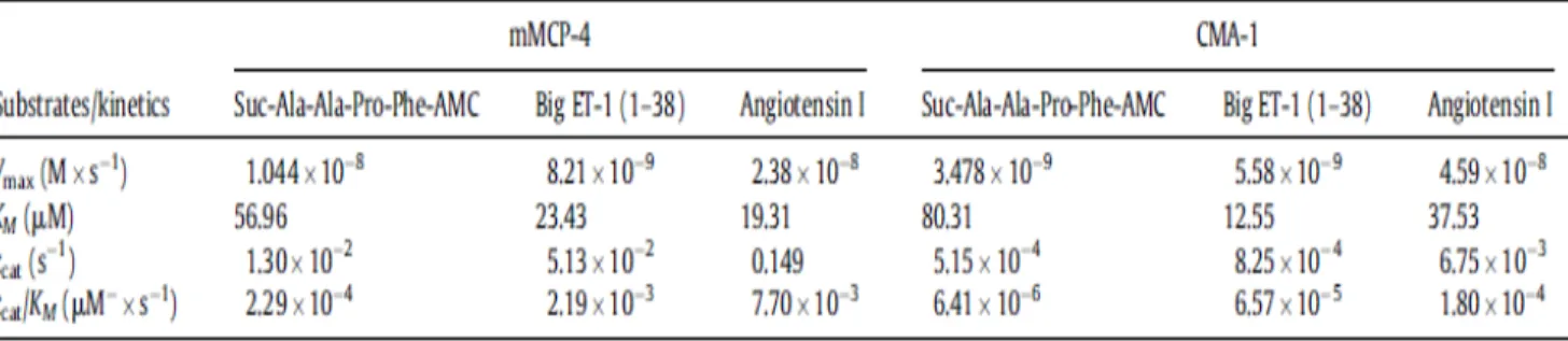 Table  1  Enzyme  kinetics  of  rmMCP-4  and  rCMA  1  against  a  fluorogenic  substrate,  Big  ET-1 (1–38) or Angiotensin I