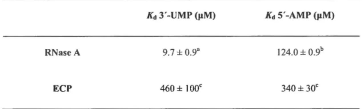 Table  1.  Binding affinities of3'-UMP and 5'-AMP to  RNase A and ECP. 