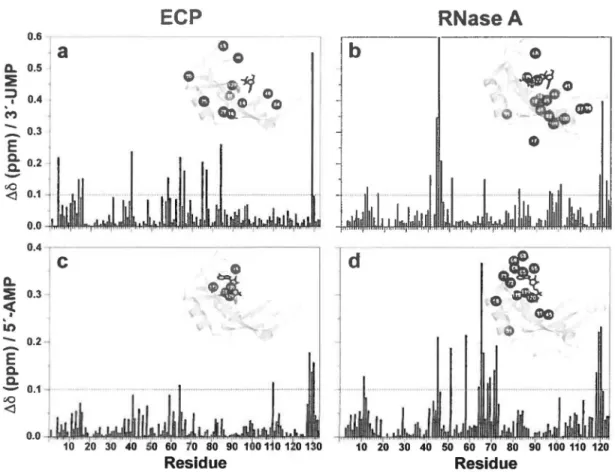 FIGURE 2.  1 H- 15 N  chemical  shift  variations  induced  by  3'-UMP and  5'-AMP binding to  ECP  and RNase  A