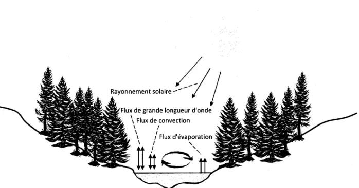 Figure 2.6 Les  processus  atmosphériques  influençant la  température de  I'eau d'une  rivière