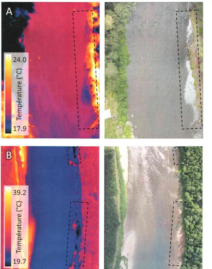 Figure 3.1 Refuges thermiques faux positifs causés par A. De la mousse de surface. B. Des zones d'ombres.