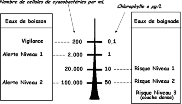Figure  2-1  Arbre  décisionnel  publié  par  l'Organisation  mondiale  de  la  santé  (Chorus  et  al.,  1999)