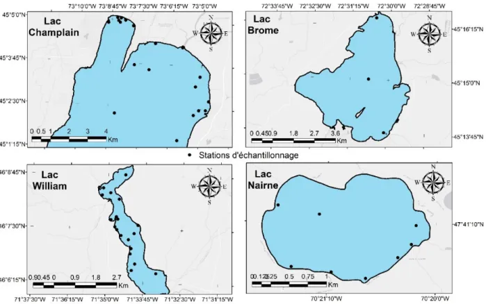 Figure  3-2  Disposition  des  sites  échantillonnés  par  le  MDDELCC  sur  les  quatre  lacs  qui  ont  servi à la calibration